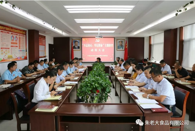 朱老大公司党委召开“不忘初心、牢记使命”主题教育动员大会